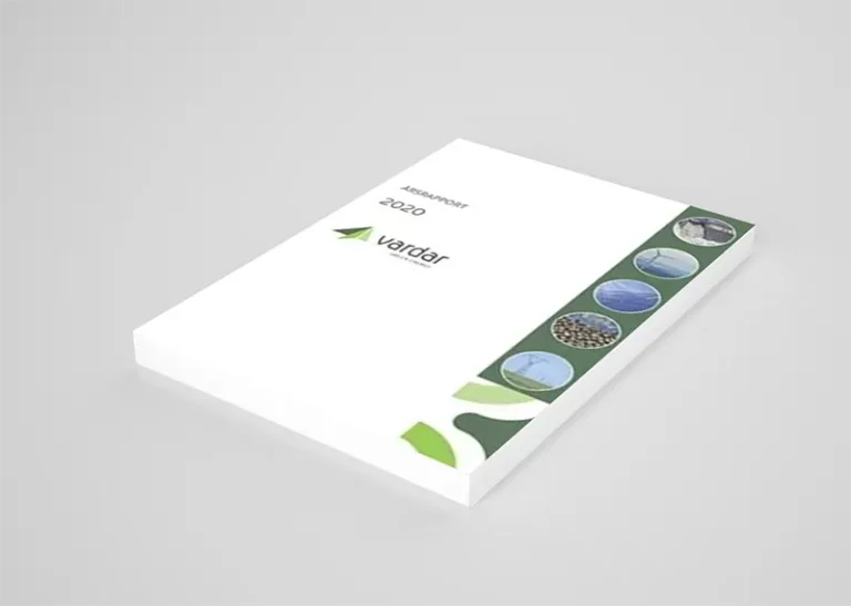 Årsrapport 2020 forside